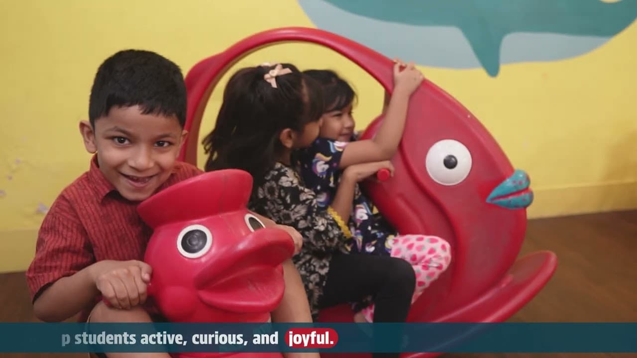 Mangrove School — Brand Story — original video thumbnail